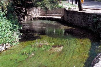 Comal River Flow Chart