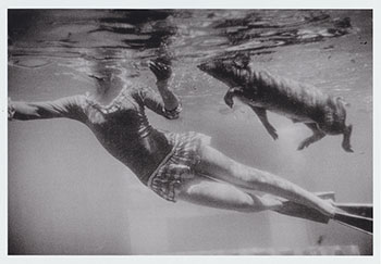 Aquarena Springs Texas San Marcos Photo 1964 Aqua-Maid /& Swimming Pig