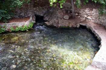 Comal Springs and Landa Park