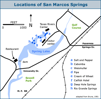 lake san marcos map The San Marcos Springs And Spring Lake lake san marcos map